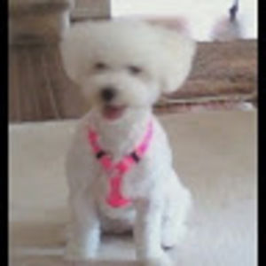 Meet your Posher, Jan